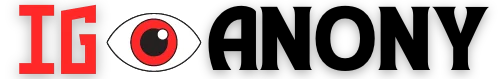 Instagram Story Viewer
